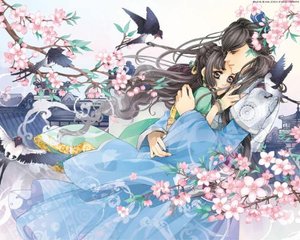 一干二净不遮不挡的视频